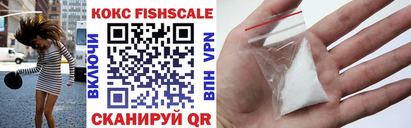 Купить закладки  Киселёвск  COCAIN 99% 