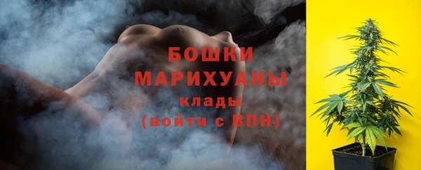 шишки Беломорск