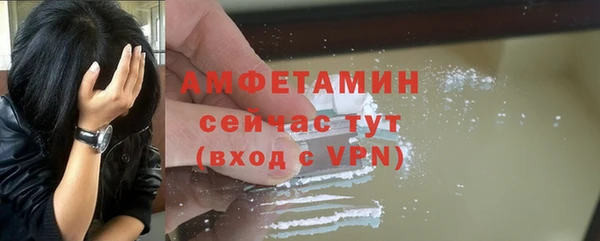 шишки Беломорск