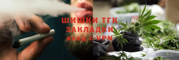 шишки Беломорск