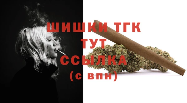шишки Беломорск