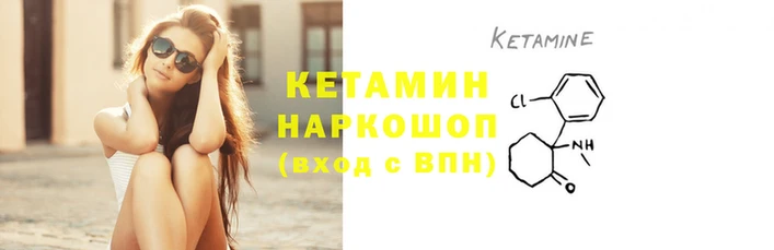шишки Беломорск