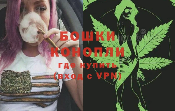 шишки Беломорск
