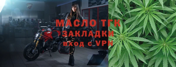 шишки Беломорск
