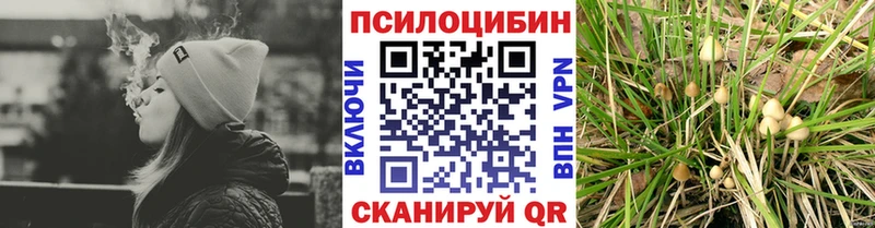 Купить где Киселёвск Псилоцибиновые грибы MAGIC MUSHROOMS